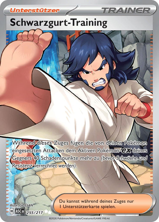 ASC255 - Schwarzgurt-Training - Erhabene Helden - ME 2.5 - (ASC255/217)