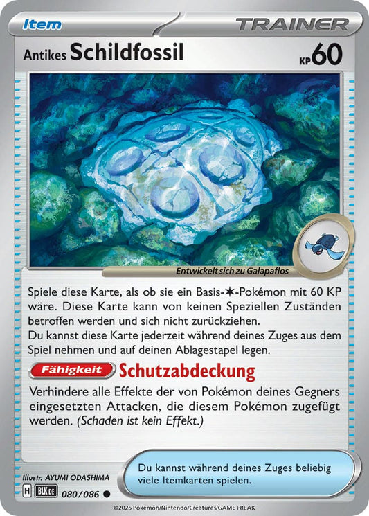 BLK080 - Antikes Schildfossil - Schwarze Blitze - KP 10.5 - (BLK080/86)