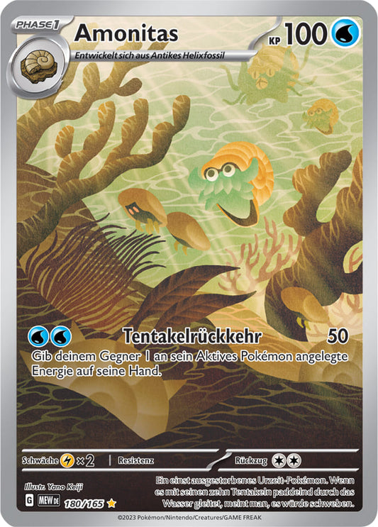 MEW180 - Amonitas - 151 - KP 3.5 - (MEW180/165)