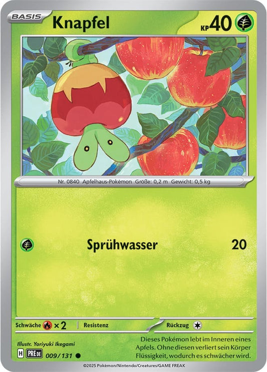 PRE009 - Knapfel - Prismatische Entwicklungen - KP 8.5 - (PRE009/131)