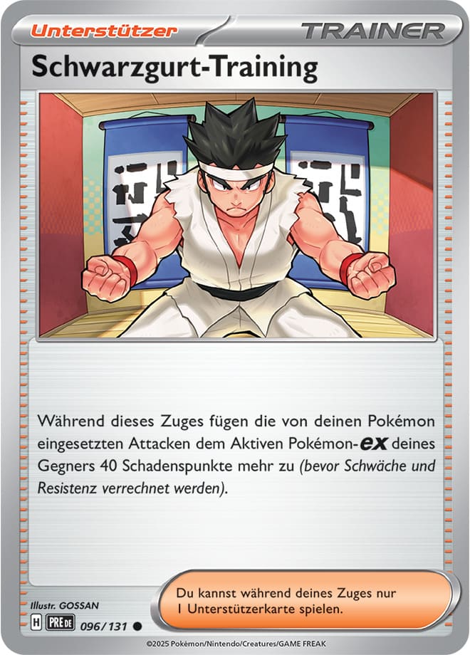 PRE096 - Schwarzgurt-Training - Prismatische Entwicklungen - KP 8.5 - (PRE096/131)