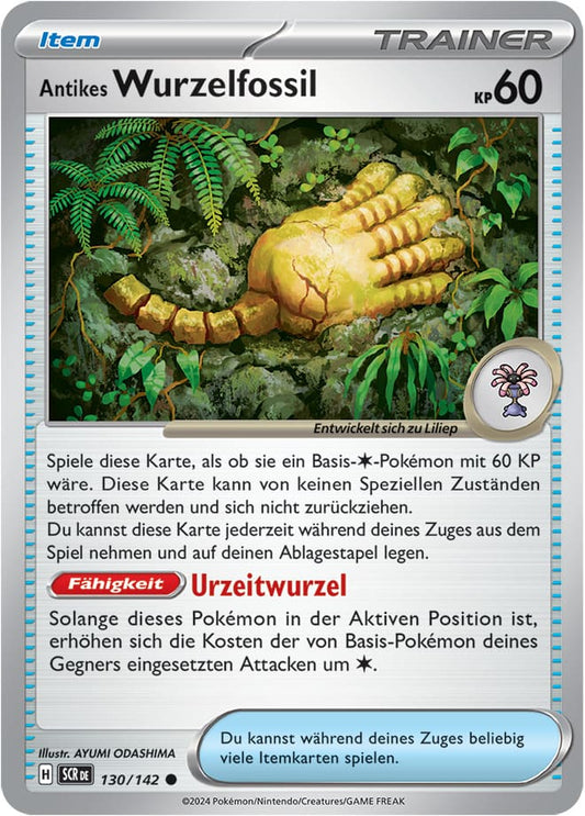 SCR130 - Antikes Wurzelfossil - Stellarkrone - KP 07 - (SCR130/142)